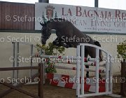 Capri FZ TosTour2013- S5 2968 : Arezzo, Arezzo Equestrian Centre, Capri FZ, Cavalli d'Italia, Toscana Tour 2013, foto di Stefano Secchi ©